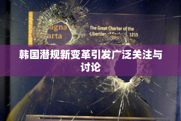 韩国潜规新变革引发广泛关注与讨论