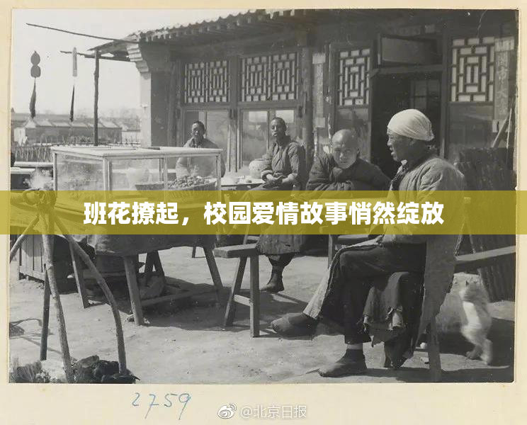 班花撩起，校园爱情故事悄然绽放