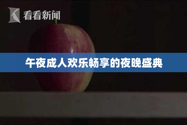 午夜成人欢乐畅享的夜晚盛典