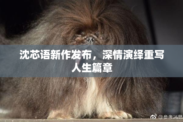 沈芯语新作发布，深情演绎重写人生篇章