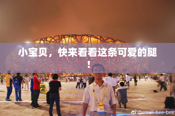 小宝贝，快来看看这条可爱的腿！