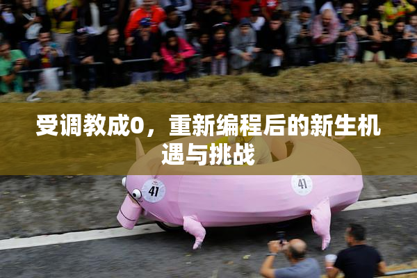 受调教成0，重新编程后的新生机遇与挑战