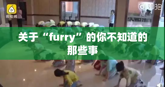 关于“furry”的你不知道的那些事