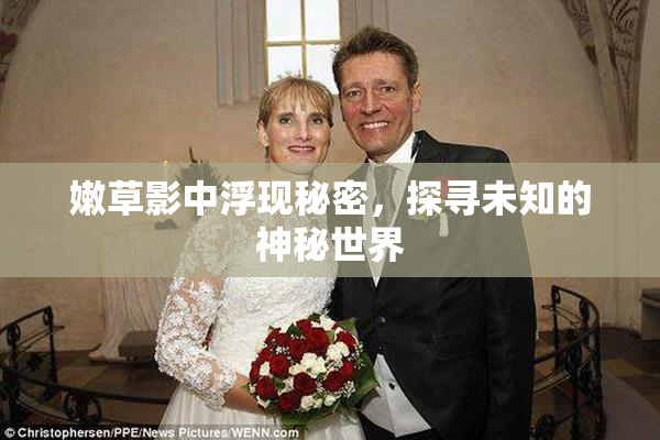 嫩草影中浮现秘密，探寻未知的神秘世界