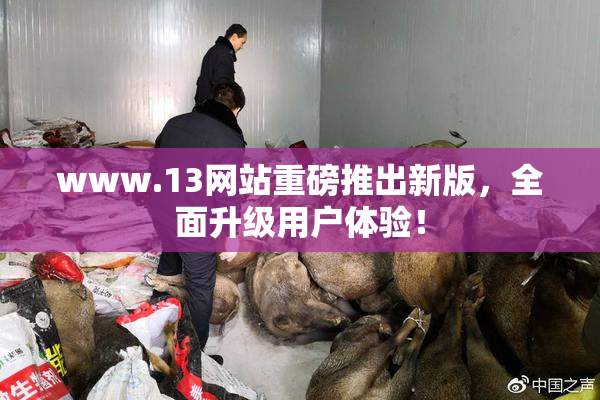www.13网站重磅推出新版，全面升级用户体验！