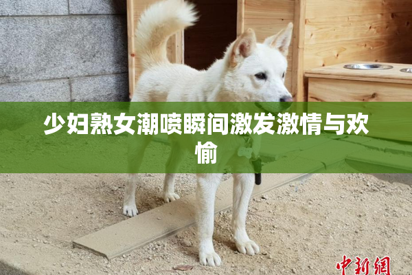 少妇熟女潮喷瞬间激发激情与欢愉