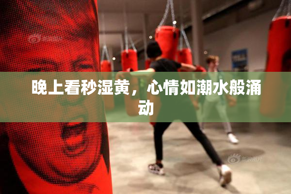 晚上看秒湿黄，心情如潮水般涌动