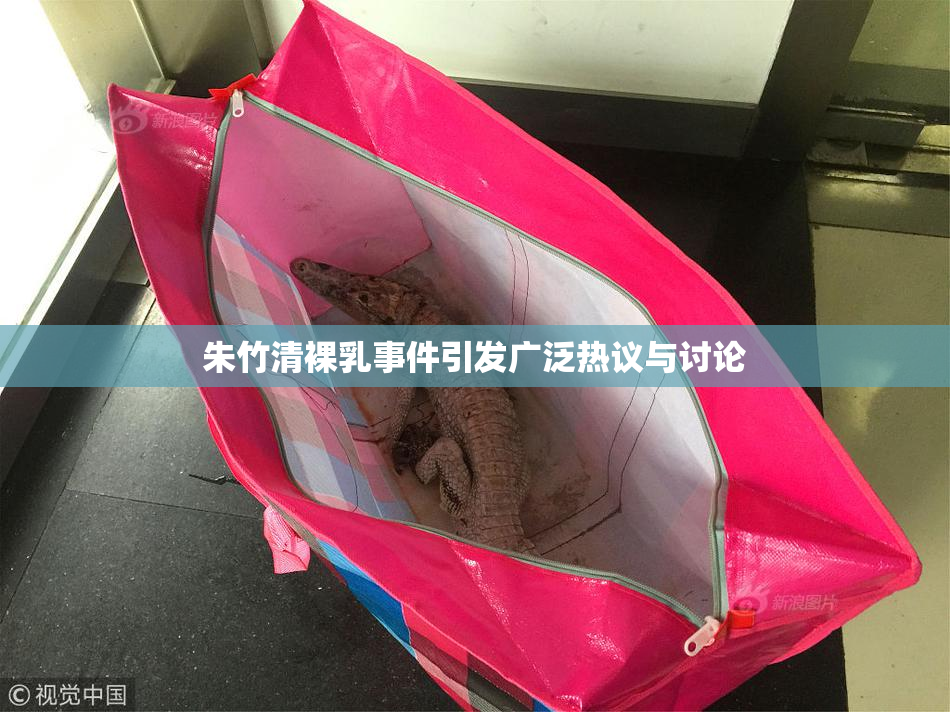 朱竹清裸乳事件引发广泛热议与讨论