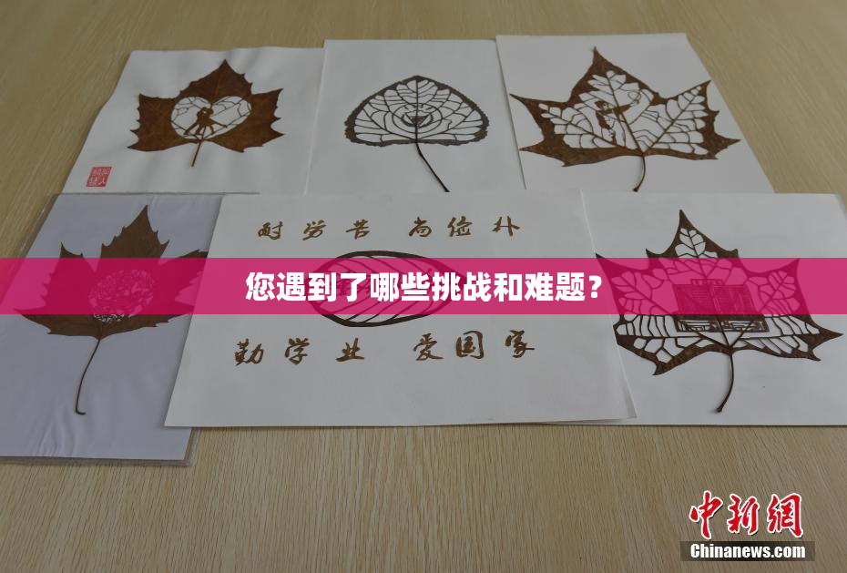 您遇到了哪些挑战和难题？