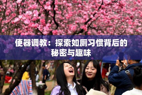 便器调教：探索如厕习惯背后的秘密与趣味