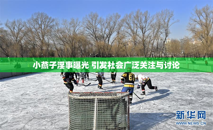 小燕子淫事曝光 引发社会广泛关注与讨论