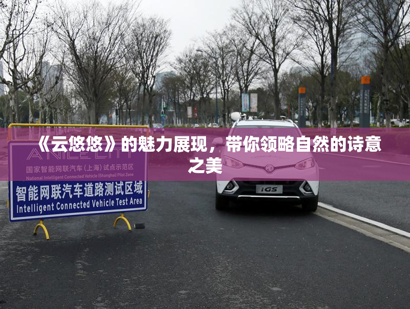 《云悠悠》的魅力展现，带你领略自然的诗意之美