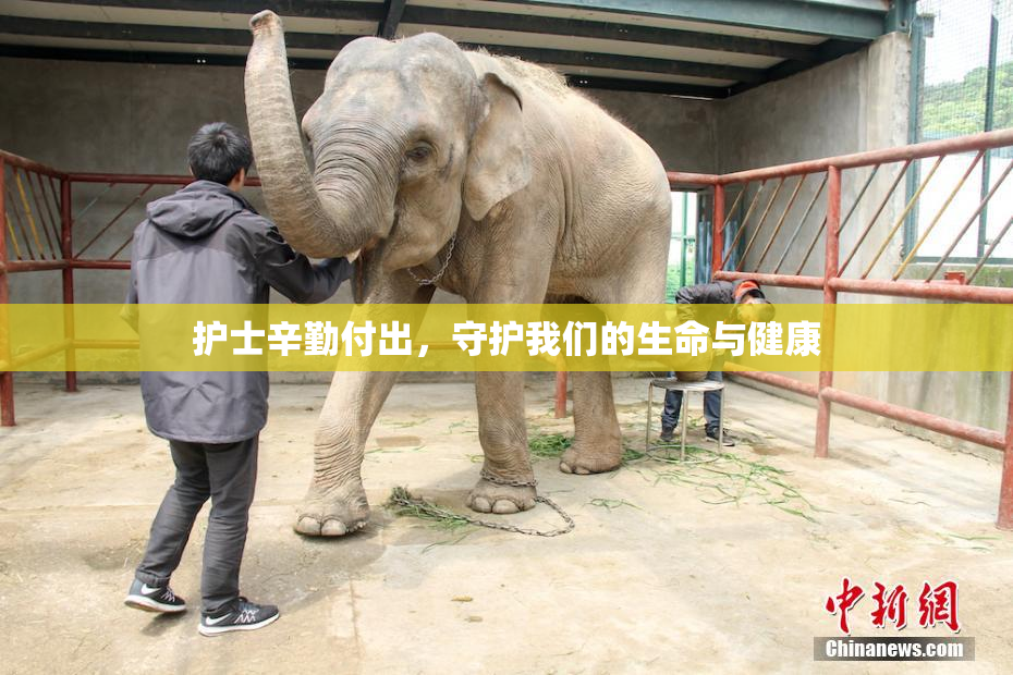 护士辛勤付出，守护我们的生命与健康
