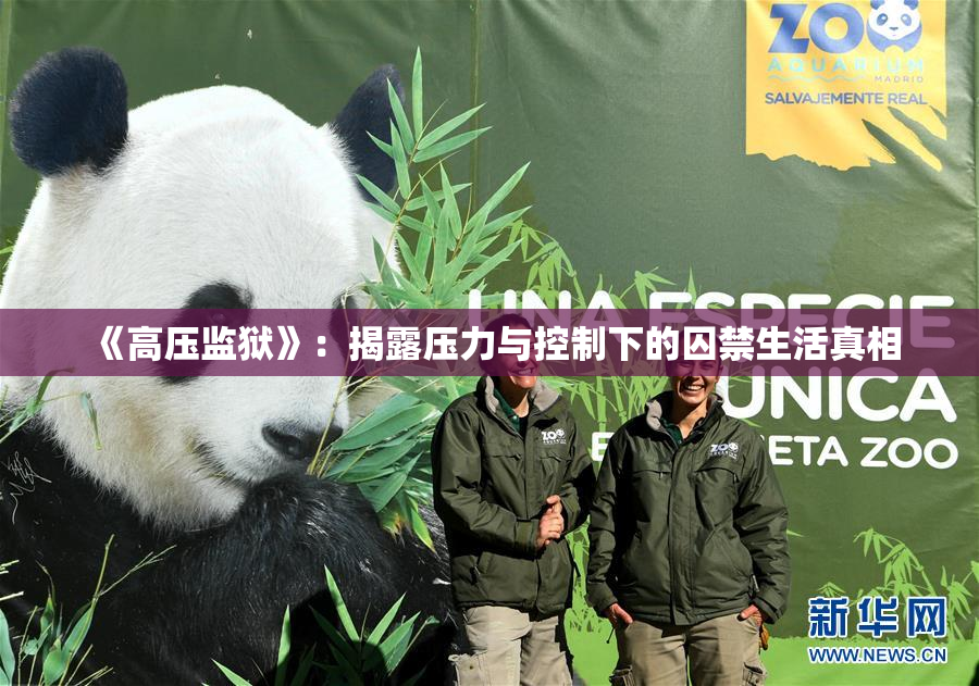 《高压监狱》：揭露压力与控制下的囚禁生活真相