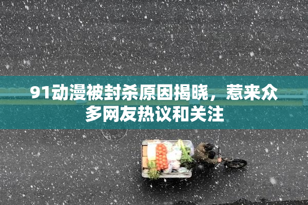 91动漫被封杀原因揭晓，惹来众多网友热议和关注