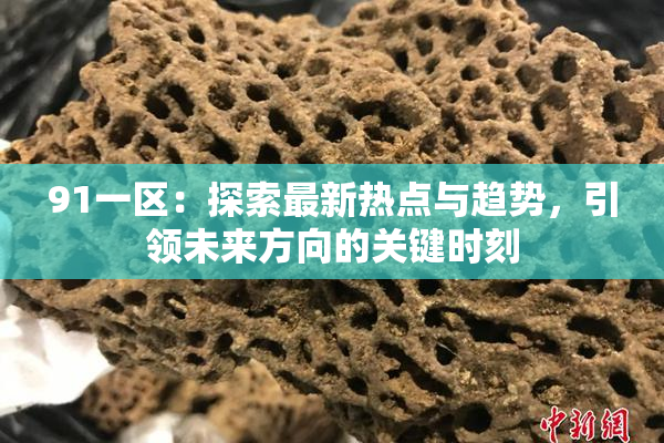 91一区：探索最新热点与趋势，引领未来方向的关键时刻