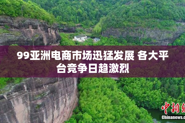 99亚洲电商市场迅猛发展 各大平台竞争日趋激烈