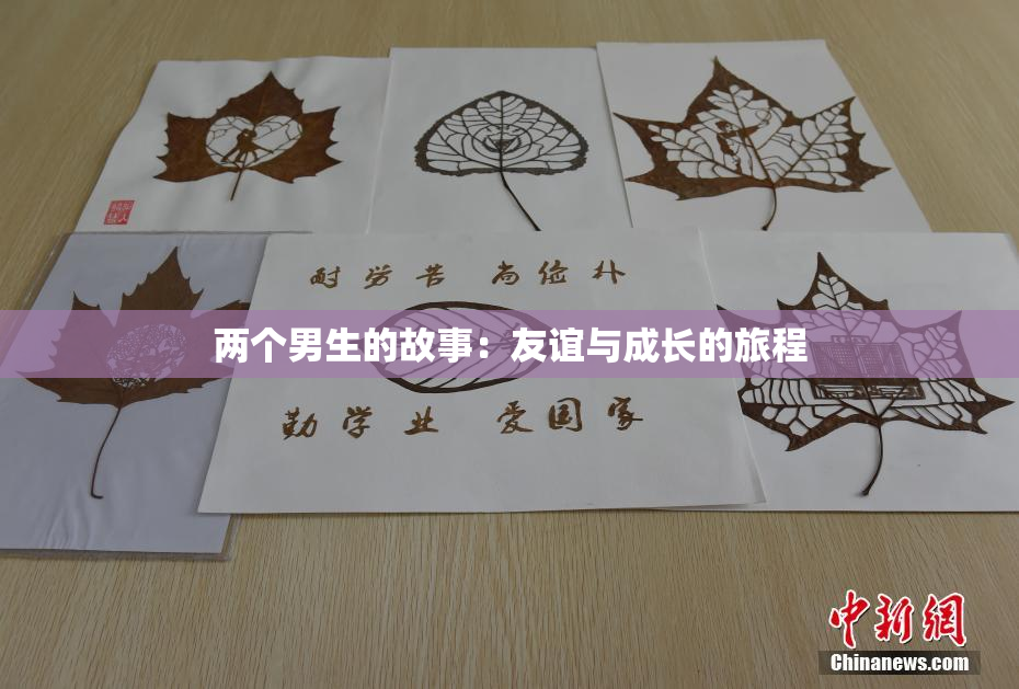 两个男生的故事：友谊与成长的旅程