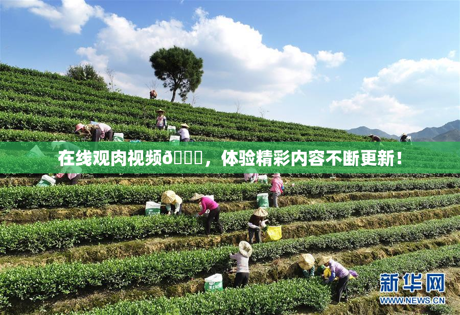 在线观肉视频🔞，体验精彩内容不断更新！