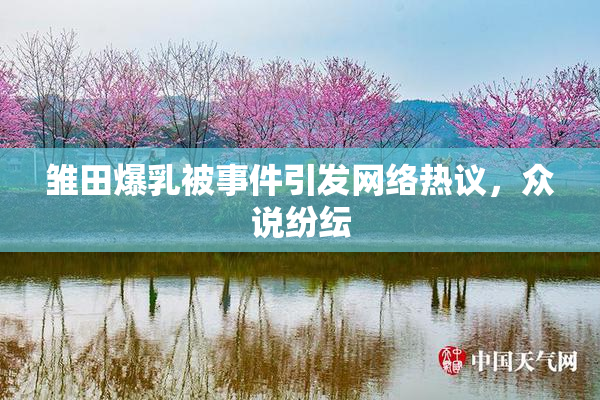 雏田爆乳被事件引发网络热议，众说纷纭