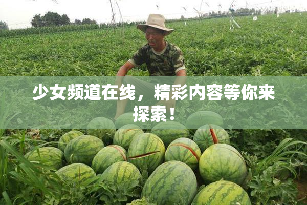 少女频道在线，精彩内容等你来探索！