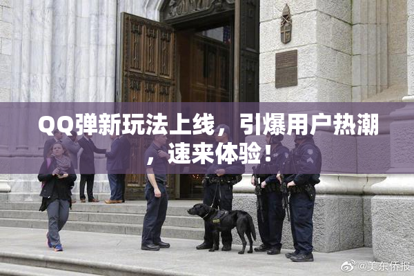 QQ弹新玩法上线，引爆用户热潮，速来体验！