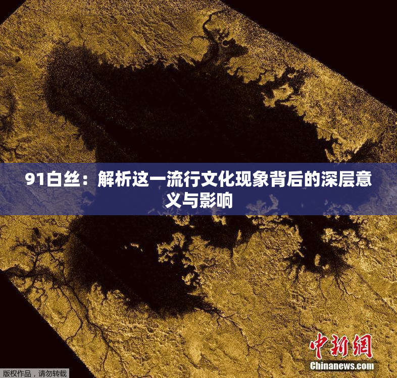91白丝：解析这一流行文化现象背后的深层意义与影响