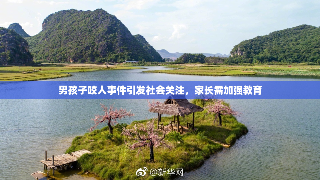 男孩子咬人事件引发社会关注，家长需加强教育
