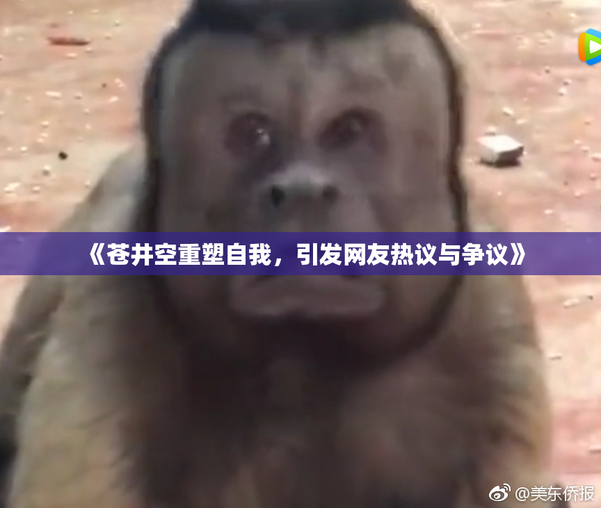 《苍井空重塑自我，引发网友热议与争议》