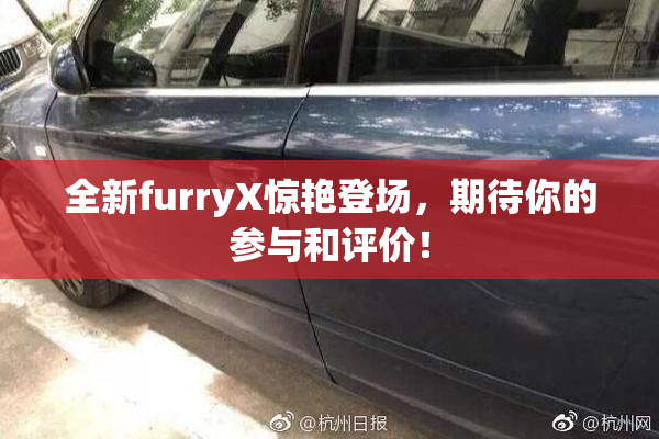全新furryX惊艳登场，期待你的参与和评价！