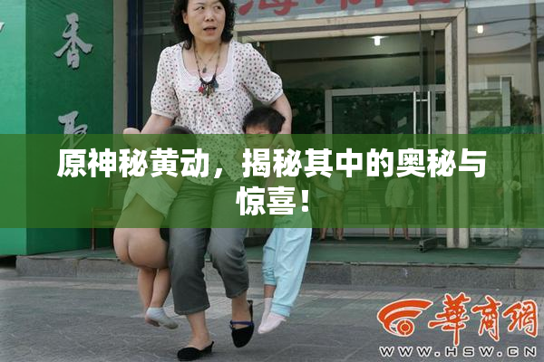 原神秘黄动，揭秘其中的奥秘与惊喜！
