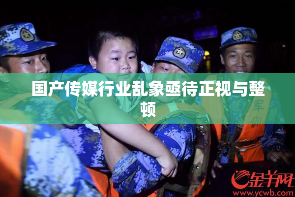 国产传媒行业乱象亟待正视与整顿