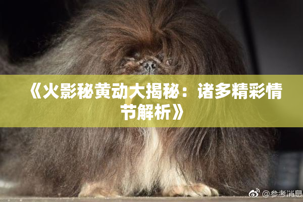 《火影秘黄动大揭秘：诸多精彩情节解析》
