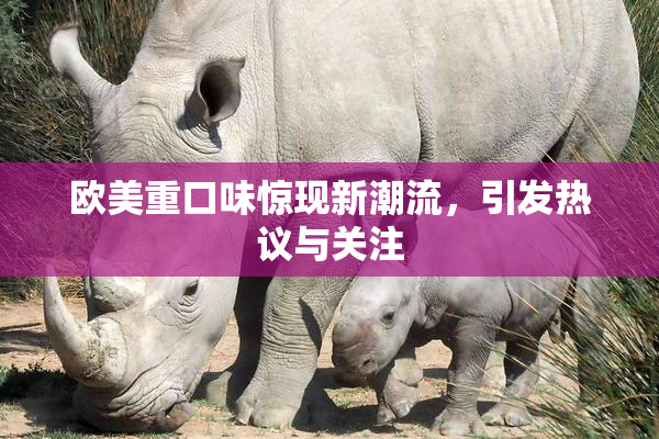 欧美重口味惊现新潮流，引发热议与关注