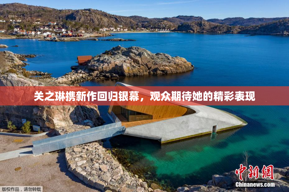 关之琳携新作回归银幕，观众期待她的精彩表现