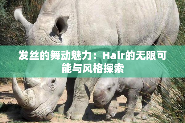 发丝的舞动魅力：Hair的无限可能与风格探索