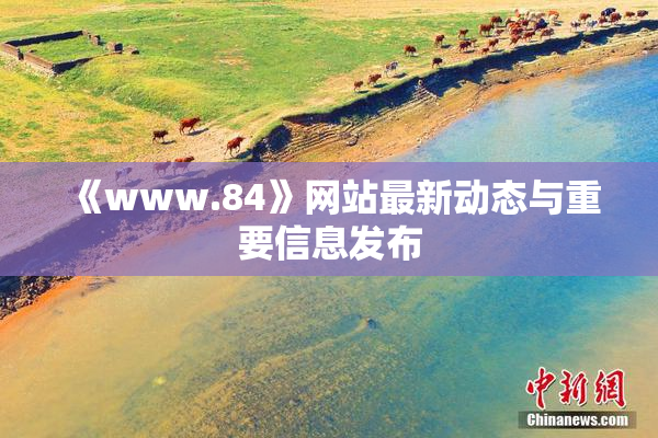 《www.84》网站最新动态与重要信息发布