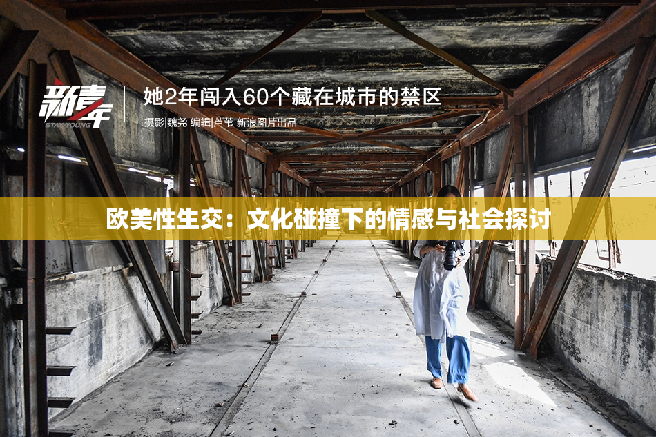 欧美性生交：文化碰撞下的情感与社会探讨