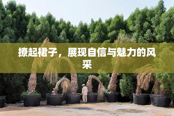 撩起裙子，展现自信与魅力的风采