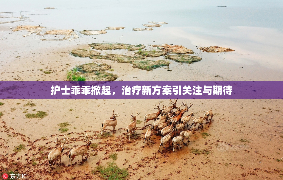 护士乖乖掀起，治疗新方案引关注与期待