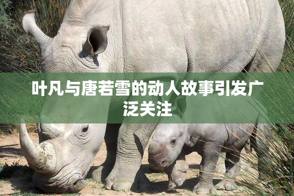 叶凡与唐若雪的动人故事引发广泛关注