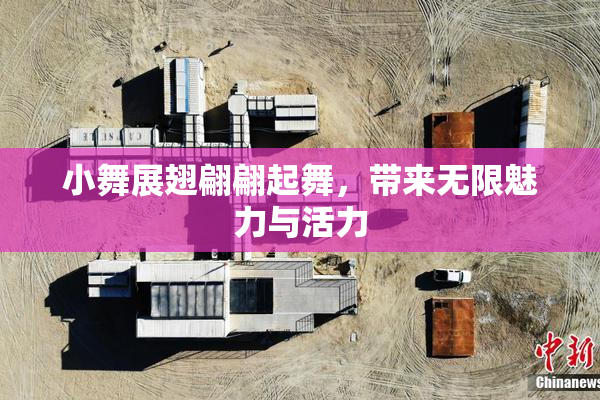 小舞展翅翩翩起舞，带来无限魅力与活力