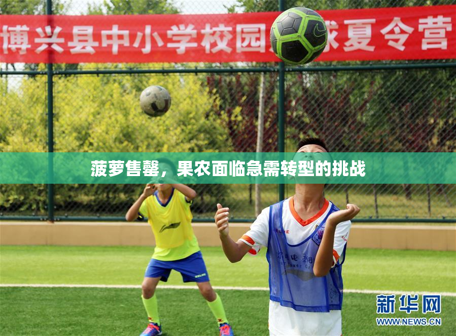 菠萝售罄，果农面临急需转型的挑战