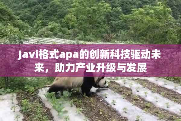 Javi格式apa的创新科技驱动未来，助力产业升级与发展