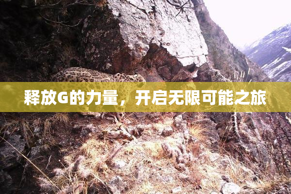 释放G的力量，开启无限可能之旅