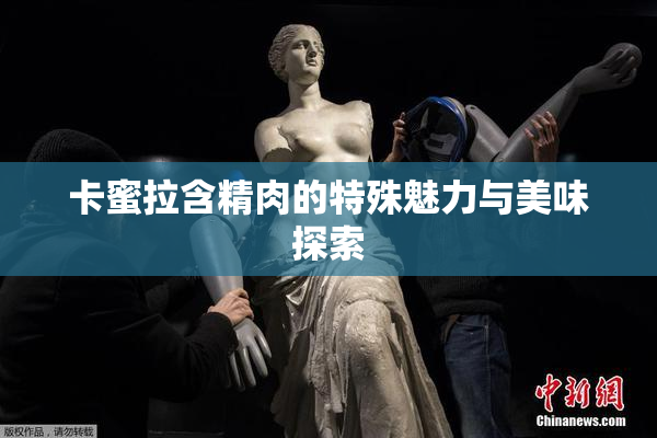 卡蜜拉含精肉的特殊魅力与美味探索