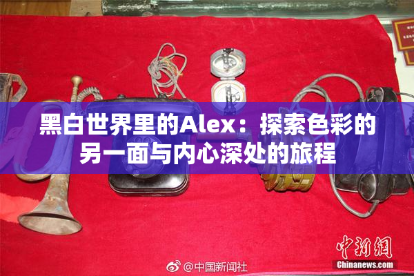黑白世界里的Alex：探索色彩的另一面与内心深处的旅程