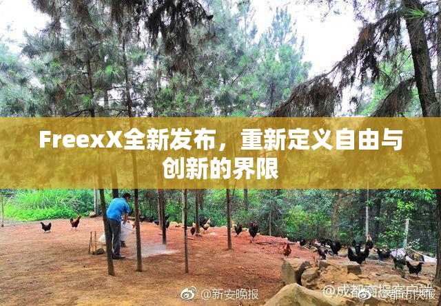 FreexX全新发布，重新定义自由与创新的界限