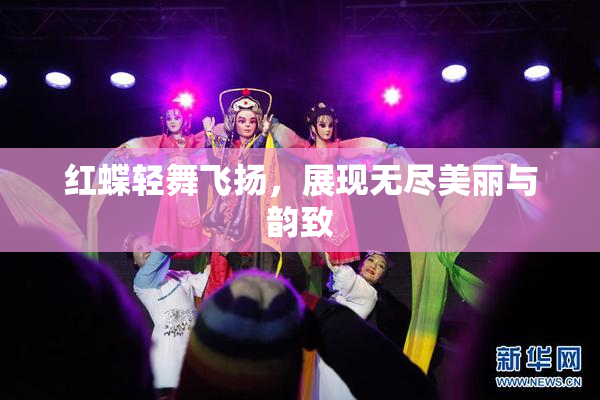 红蝶轻舞飞扬，展现无尽美丽与韵致