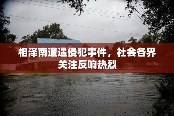 相泽南遭遇侵犯事件，社会各界关注反响热烈